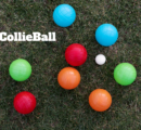 CollieBall Tricks and Tips to Keep Your Dog Engaged