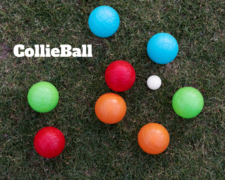 CollieBall Tricks and Tips to Keep Your Dog Engaged