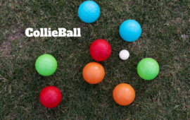CollieBall Tricks and Tips to Keep Your Dog Engaged