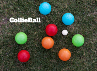 CollieBall Tricks and Tips to Keep Your Dog Engaged