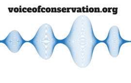 VoiceofConservation.org: Uniting Voices for Conservation