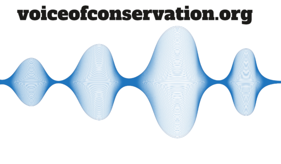 VoiceofConservation.org: Uniting Voices for Conservation