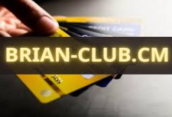 Real Business Owners Share Their Brians club Credit Wins
