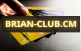Real Business Owners Share Their Brians club Credit Wins