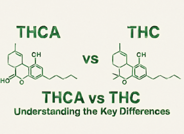 THCA vs THC: Understanding the Key Differences